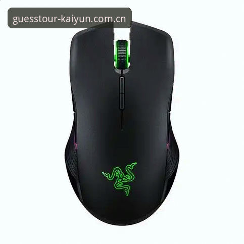 kaiyun iOS下载 Kaiyun竞猜平台iOS下载全面解析:从兼容性到用户体验的深度解读